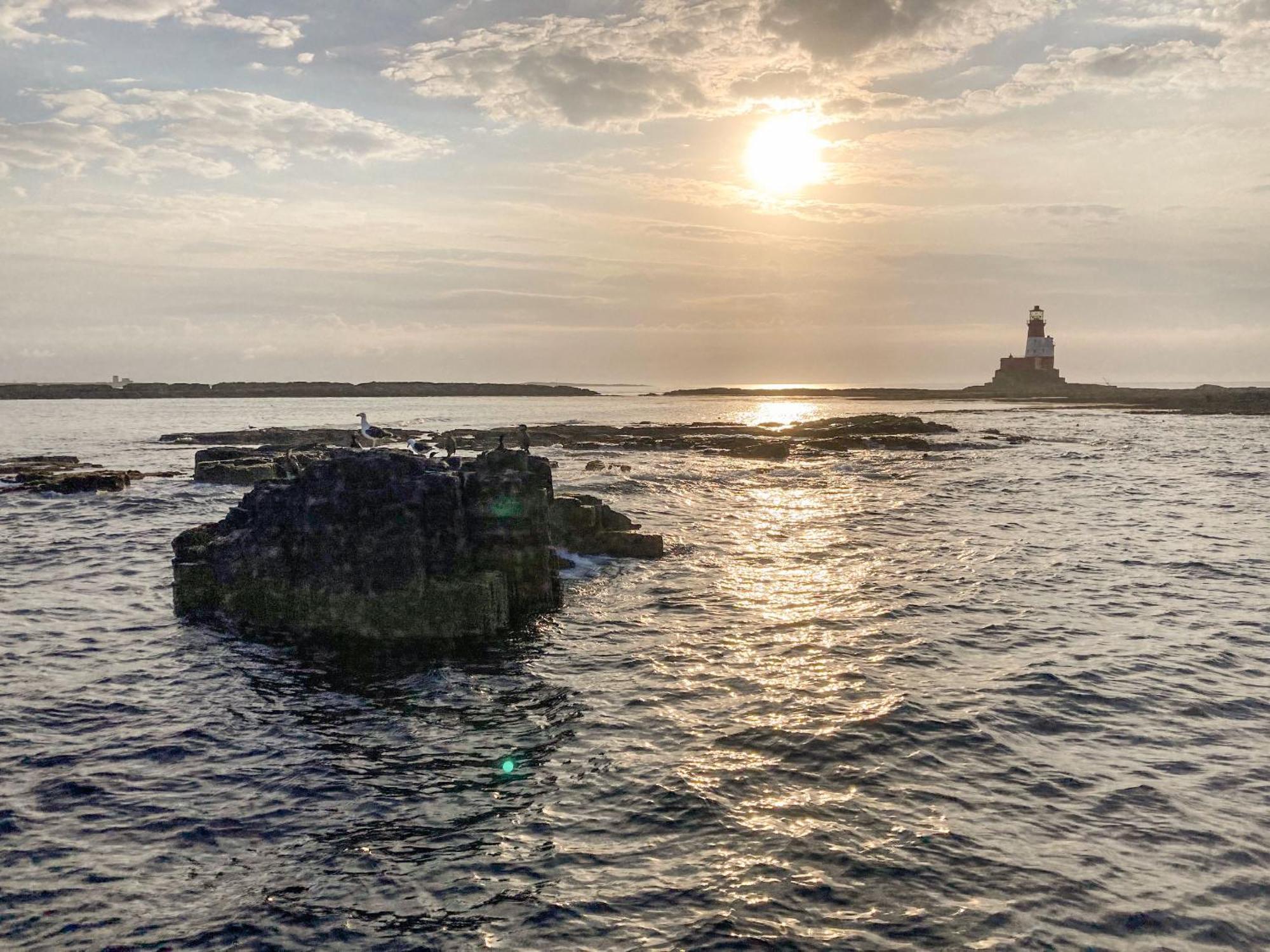 Dipper Cottage Seahouses Dış mekan fotoğraf