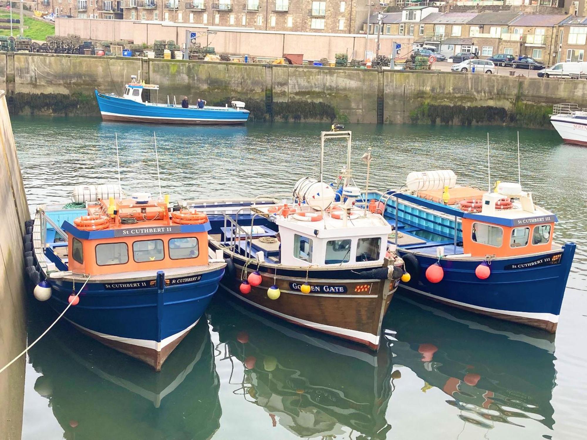 Dipper Cottage Seahouses Dış mekan fotoğraf