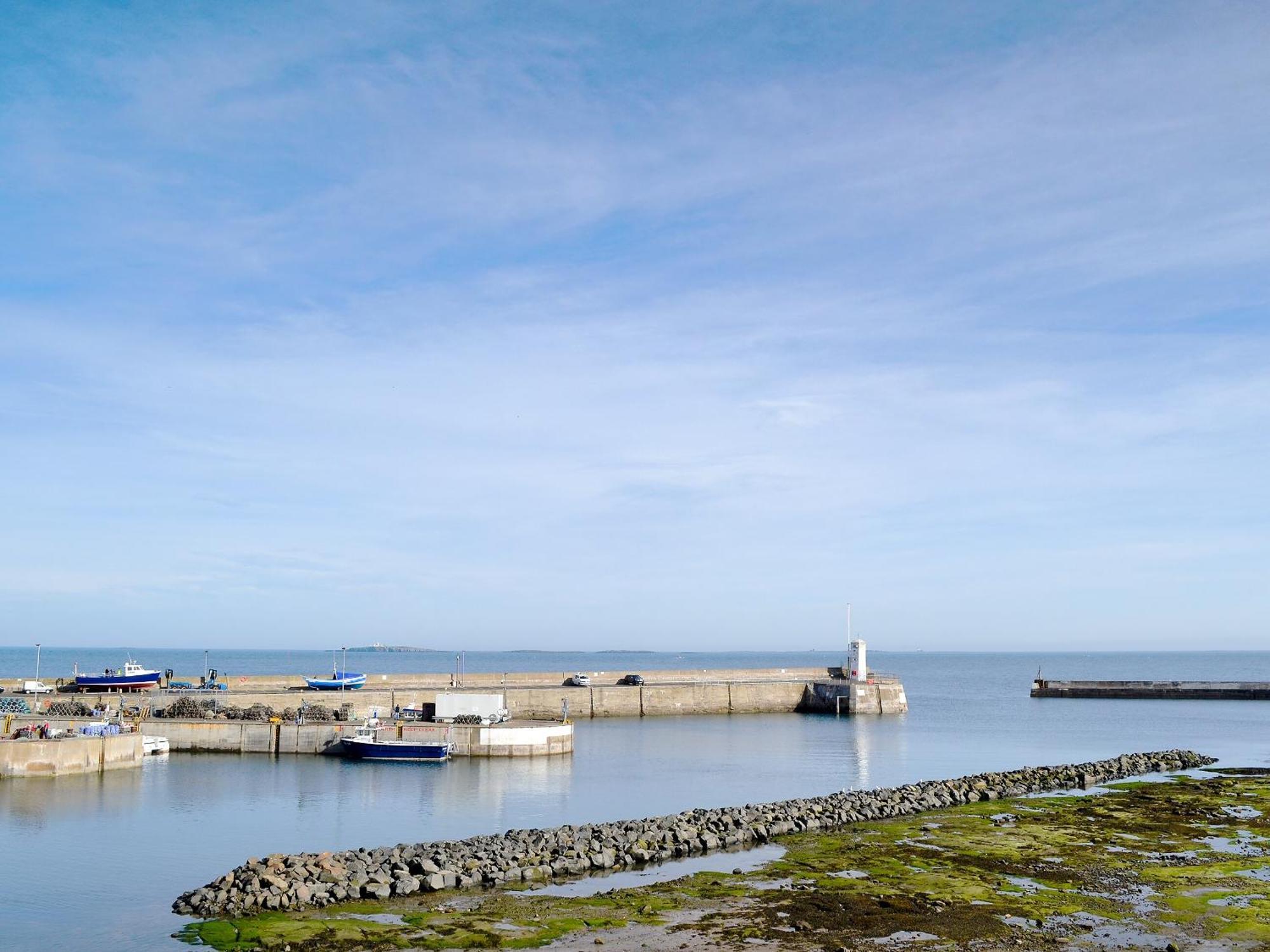 Dipper Cottage Seahouses Dış mekan fotoğraf